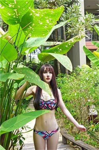 欧洲系列亚洲系列