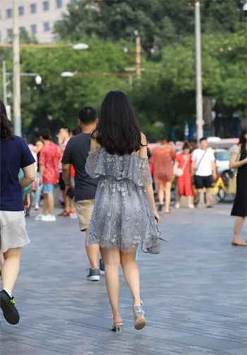 七盒在哪下载