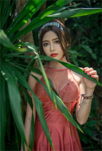 小白兔白又白儿歌简谱