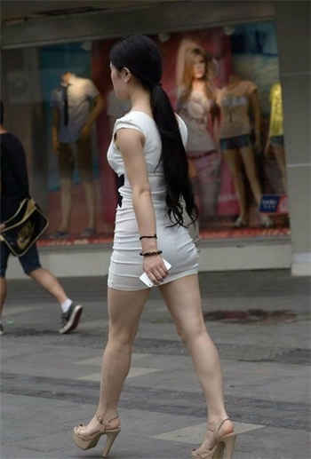 红杏天鹅芭下载