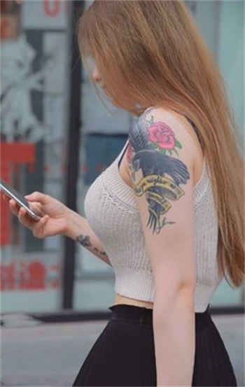 爱情公寓从电台开始签到
