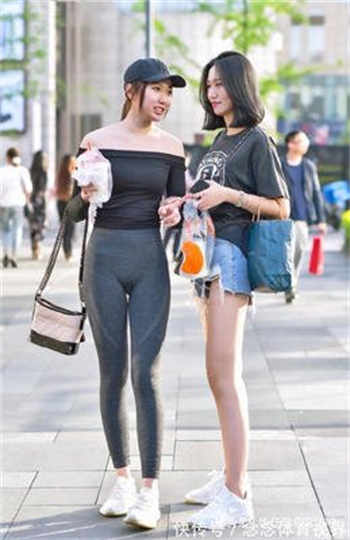 主角是杨振秦丽小说