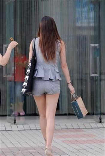 动图网站自带车牌