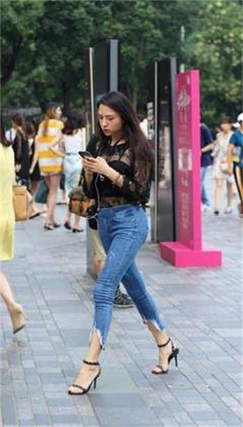 猫咪视频永久找到回家的路